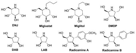 Multivalent Pyrrolidine Iminosugars: Synthesis and Biological Relevance
