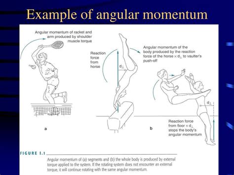 PPT - Angular Kinetics Review PowerPoint Presentation, free download ...