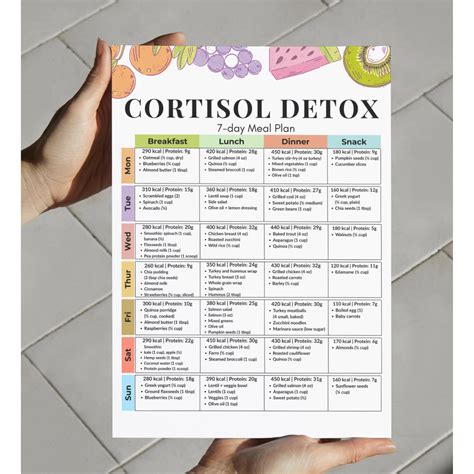Cortisol Detox 7-day Meal Plan Printable PDF | Adrenal Fatigue Support ...