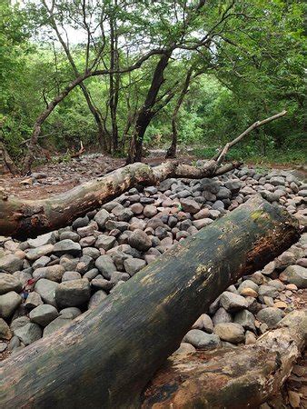 Tungareshwar Wildlife Sanctuary (Vasai) - 2020 What to Know Before You ...