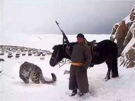 蒙古牧羊人 这个照片我是服了，Ak74、雪豹……牧羊豹？ #图片, page 1