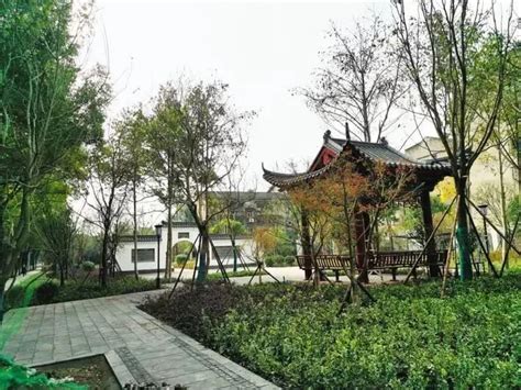 2017年度荆州市科技助力精准扶贫先进个人-荆州科润现代农业-江南水乡、葡萄特色的生态旅游休闲特色小镇