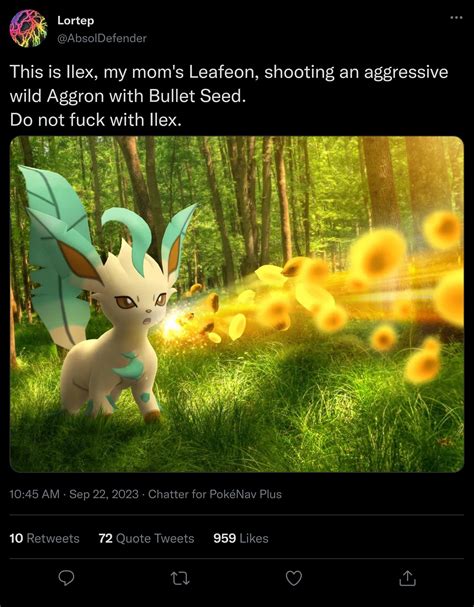Virgin Wild Aggron VS Chad Kimono-trained Leafeon : r/PokeMedia