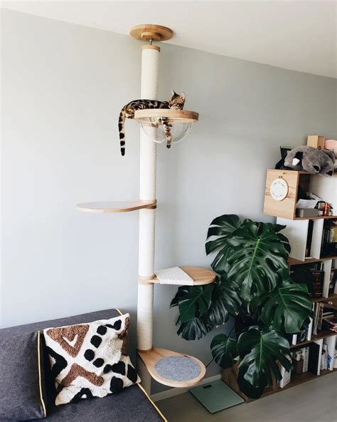 Cat Adjustable Tower Floor to Ceiling Cat Tower Wood Cat Tree - Etsy UK ...