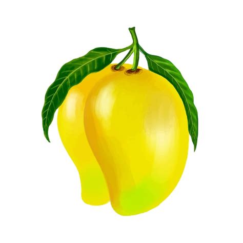 Mango clipart Images - Free Download on Freepik