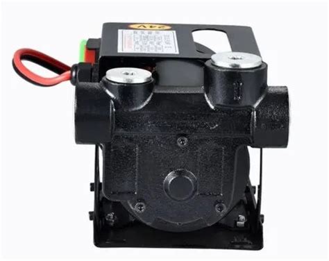 Electric Fuel And Oil Transfer Pumps - 12v Dc Diesel Transfer Pump ...