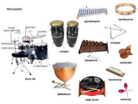 About - Percussion