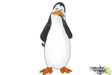 How to Draw Kowalski from The Penguins Of Madagascar - DrawingNow