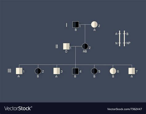Image result for Inheritance Basic Picture
