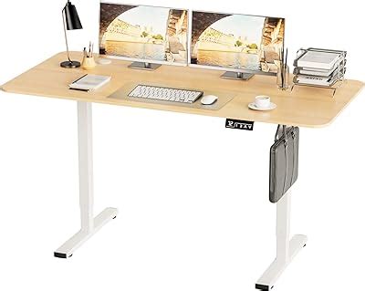 ErgoYou Electric Height Adjustable Table Motorized Ergonomic Sit Stand ...