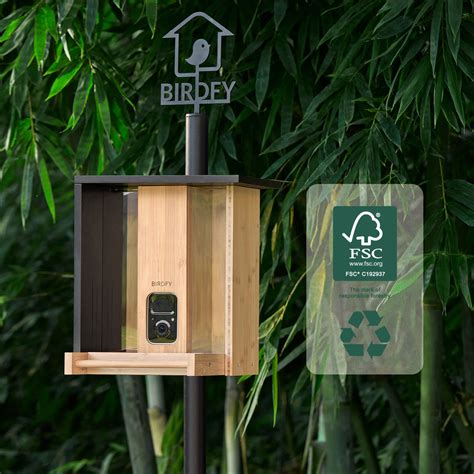 Birdfy Feeder Bamboo - Mangeoire intelligente en matériau éco-responsa ...