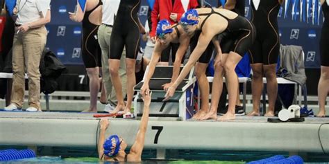 Florida Gators Swimming 的图像结果