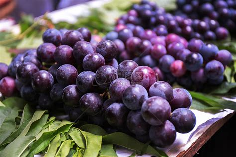 陽台種葡萄，用一個小方法，不用買苗也能種，果子結了一串又一串 - 每日頭條