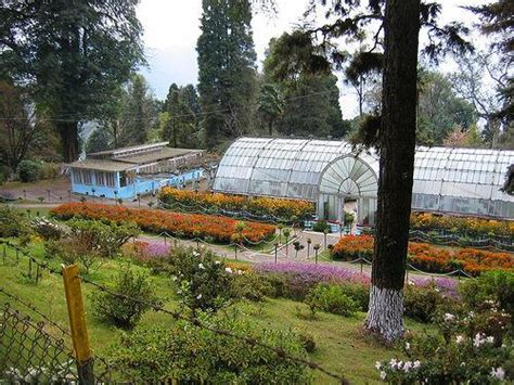 Lloyd Botanical Garden in Darjeeling, Darjeeling Botanical Garden