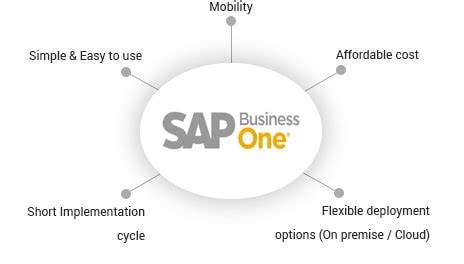 The best SAP Software Solution provider in Qatar - Alfanet Solutions