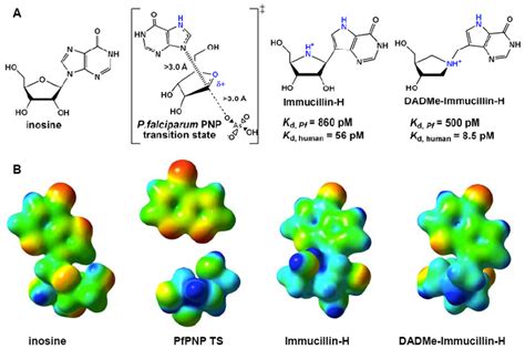Transition State Analog 的图像结果