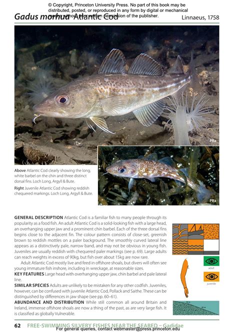 Inshore Fishes of Britain and Ireland | Princeton University Press