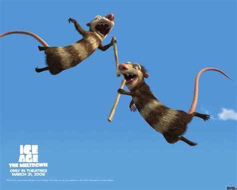 Possum Wallpapers - Top Free Possum Backgrounds - WallpaperAccess