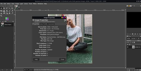 Metadata Editable Image File 的图像结果