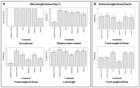 Metabolomics Reveals Lysinibacillus capsici TT41-Induced Metabolic ...