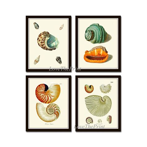 Image result for Sea Shells Prints