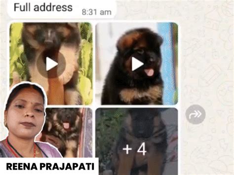 woman suicide online dog scam gwalior poison voice message to ...