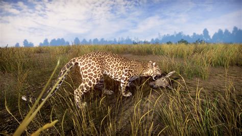 Lightning Fast Game 的图像结果