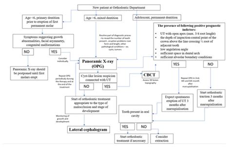 The Interdisciplinary Orthodontic–Surgical Diagnostic and Treatment ...