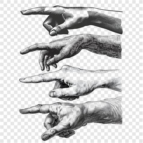 Renaissance hands Images - Free Download on Freepik