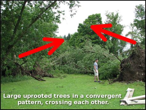 How the NWS determines Wind Damage and Tornadoes