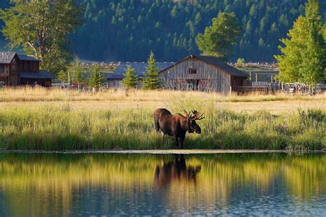 Ranch at Rock Creek – Rustic Vacations