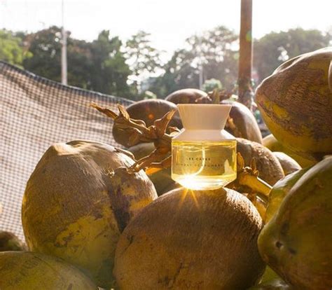 Blog – Bombay Perfumery