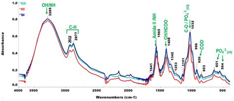 Hydroxyapatite-Integrated, Heparin- and Glycerol-Functionalized ...