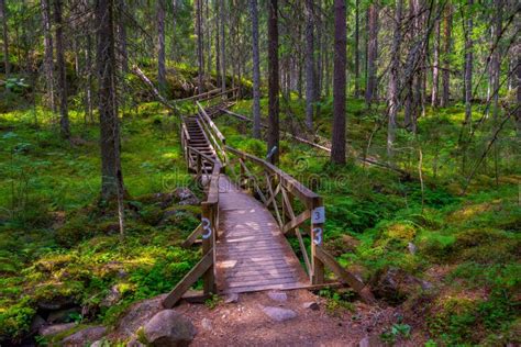 Image result for Internship Blog Example