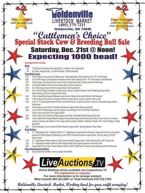 Estimates for the 11/22/24 Cattle on Feed Report Cattle Range