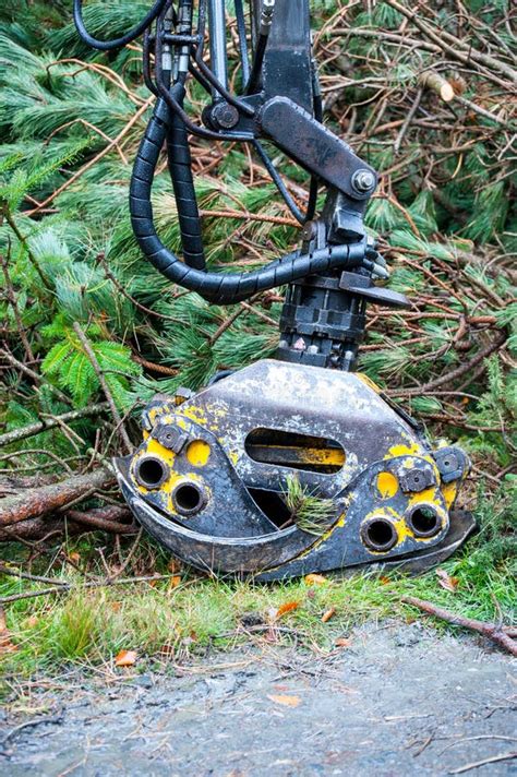 Lumber Machine 的图像结果