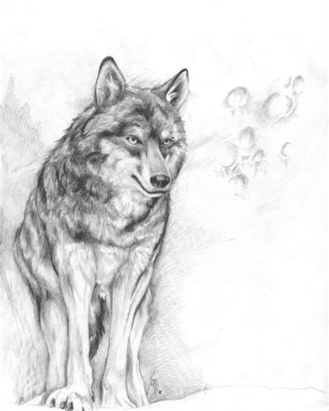Beautiful Wolves Drawing 的图像结果