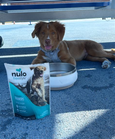 Anna Hall | :) lost files from the first half of 2023 #thankful | Instagram