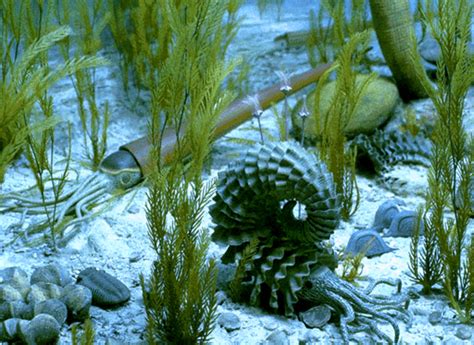 Late Devonian Extinction 的图像结果