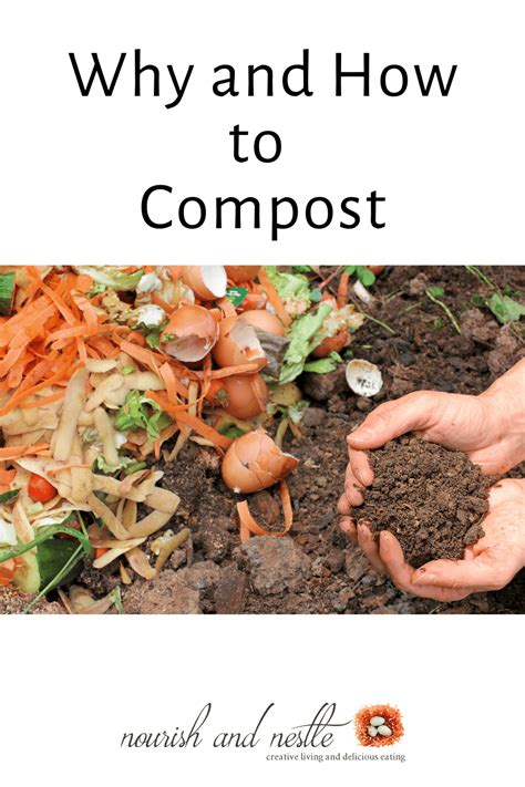 How to Compost 的图像结果