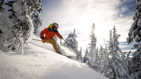 Image result for Tree Well Example