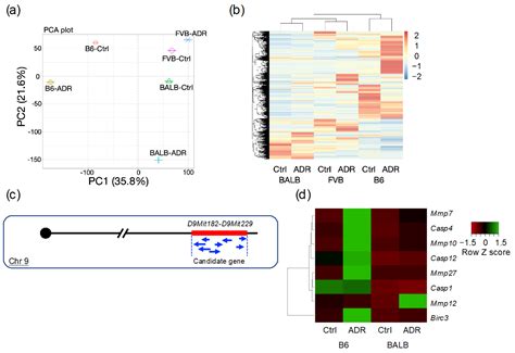 Development and Characterization of a Novel FVB-PrkdcR2140C Mouse Model ...