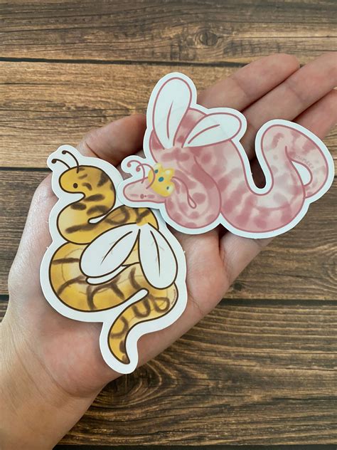 Image result for Queen Bee Ball Python