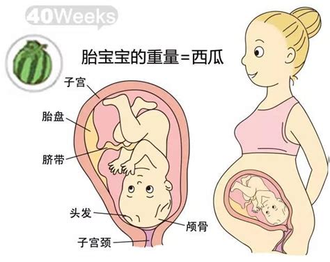 怀孕32周，肚子很饿却吃不下，恭喜你，胎儿猛涨期到了_孕妇