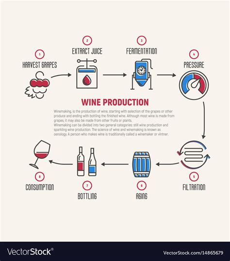 Wine Fermentation Process 的图像结果