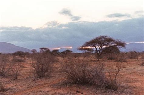 In Kenya con Alessandro - Day Tours (Watamu) - 2022 What to Know Before ...