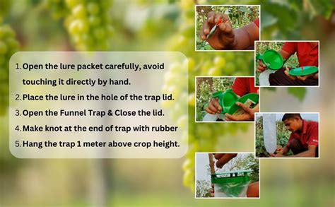 Chipku Funnel Trap with Heli Lure Pack of 50 (Helicoverpa Armigera ...