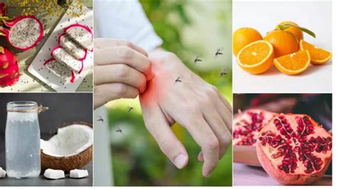 Dengue Recovery Tips : ਮਰੀਜ਼ ਨੂੰ ਡੇਂਗੂ ਨਾਲ ਲੜਨ ਦੀ ਤਾਕਤ ਦਿੰਦੇ ਹਨ ਇਹ 7 ...