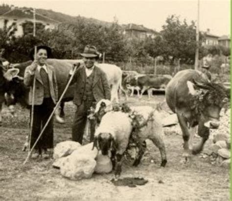 Musei del Tirolo: Allevatori, pastori, contadini e boscaioli di Fiemme ...