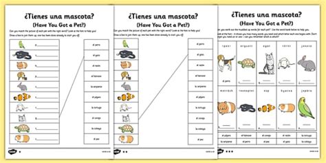 Spanish Pets Worksheet | Tienes Mascotas Worksheet | Twinkl